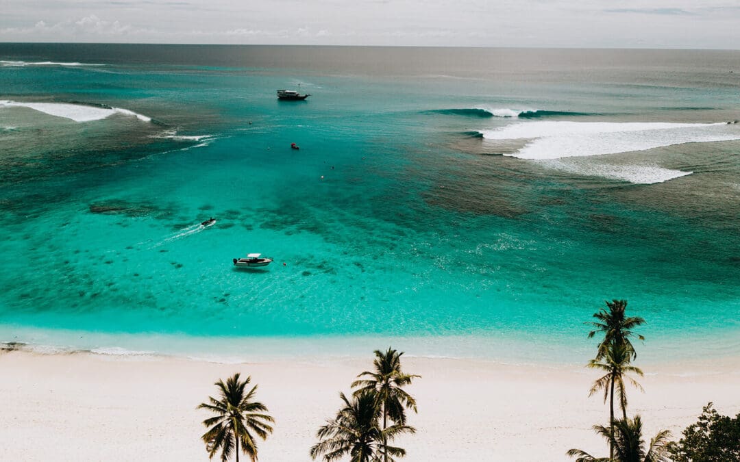 Surfing Mentawai in August: Peak Season Perfection at Hollow Trees